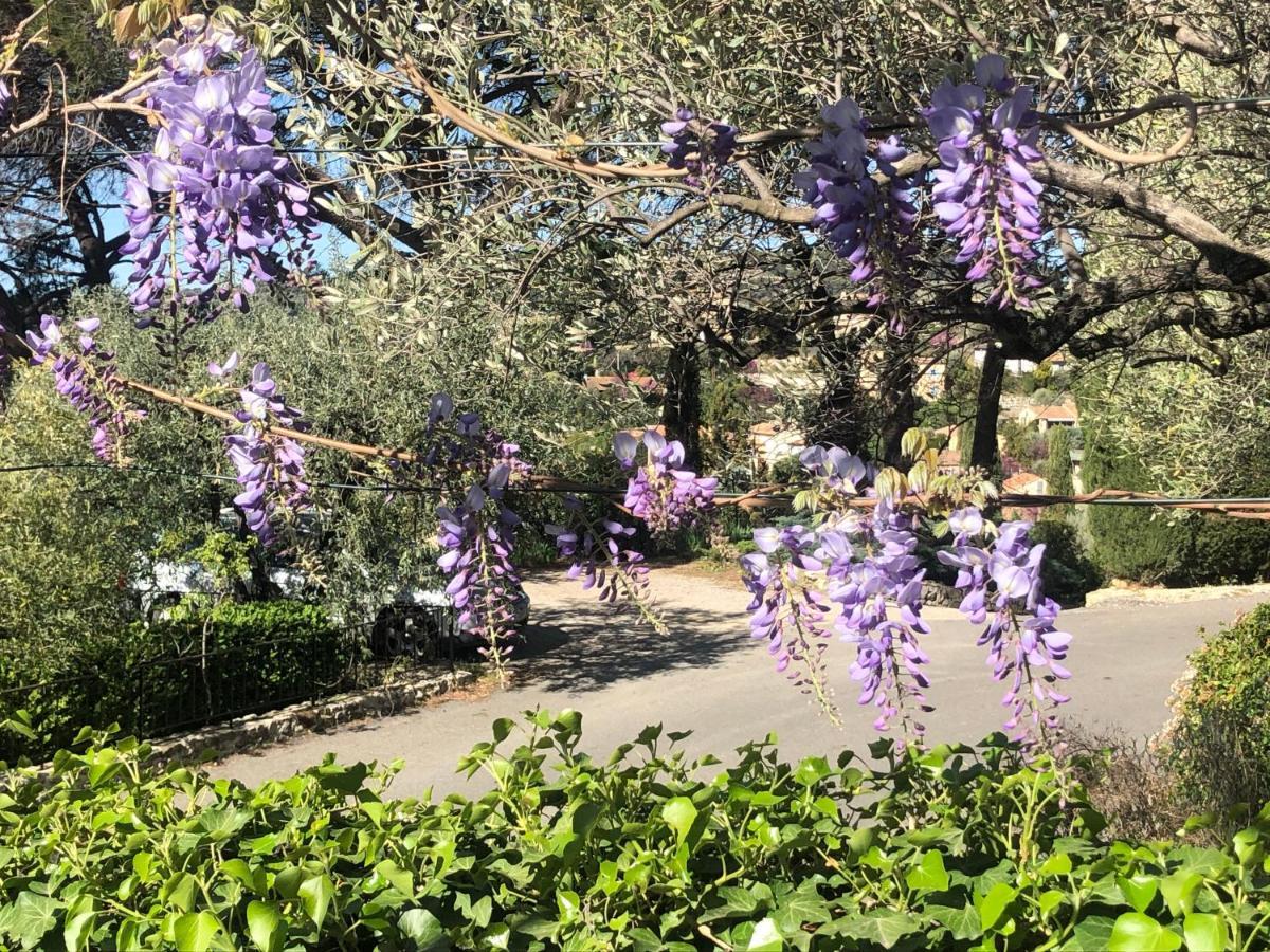 Готель La Picholine En Provence Ніон Екстер'єр фото