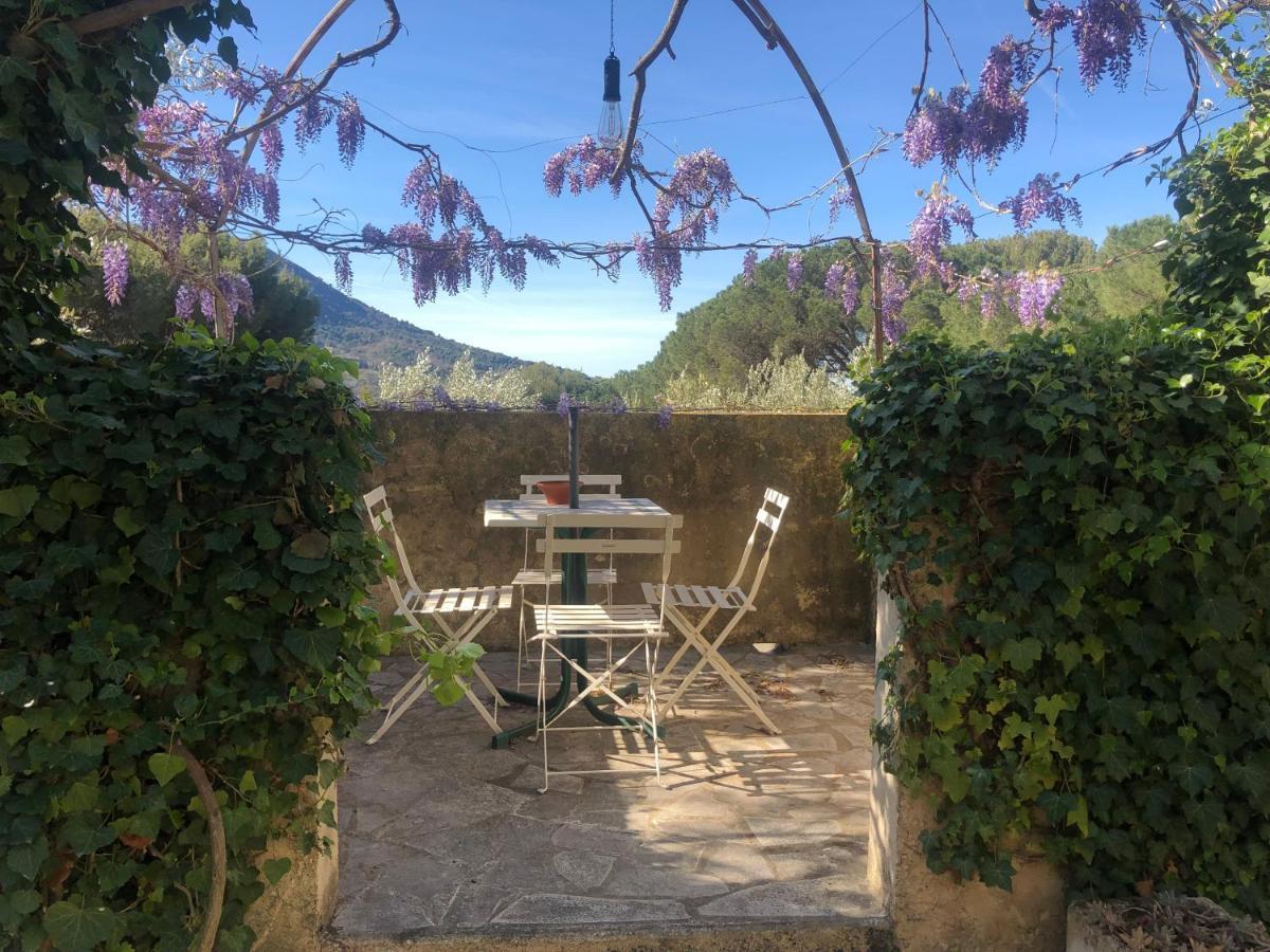 Готель La Picholine En Provence Ніон Екстер'єр фото