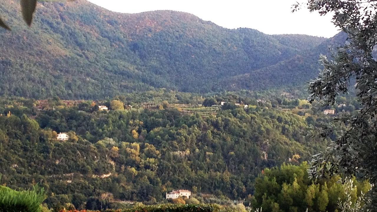Готель La Picholine En Provence Ніон Екстер'єр фото