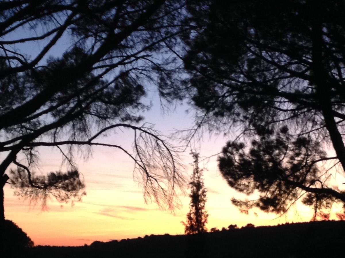 Готель La Picholine En Provence Ніон Екстер'єр фото